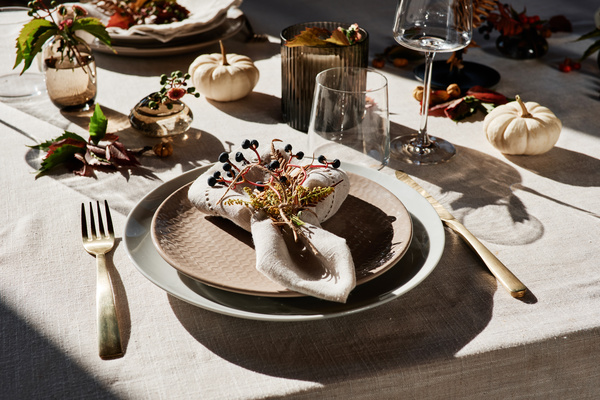 Table Setting in Autumn Style Under Rays of Sun